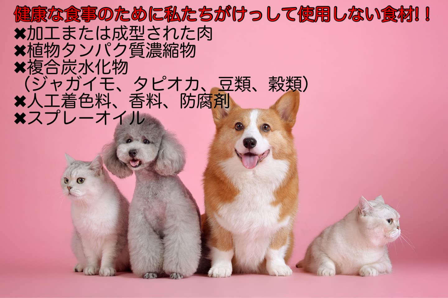 Amazon.co.jp: サンデーペッツジェントルベイク キングサーモン with